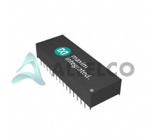 DS1230W-100IND Image